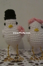 Bird couple