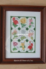 Flores