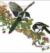 Thea Gouverneur 1075 - Magpies