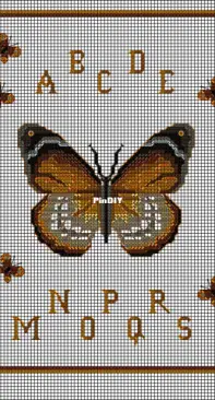Club Point de Croix CPDC - Butterfly ABCs