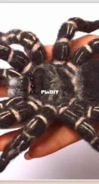 Natali Skill 21 - Natali Batluk - Zebraknee Tarantula