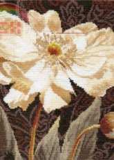 Alisa 2-18 - White Flowers - In Embraces of Light