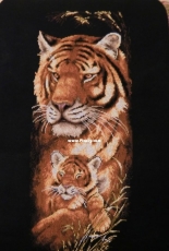 Tigress and a tiger cub