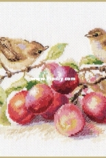 Alisa 5-17 Warblers and Plums PCS