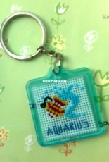 [Keychain] Aquarius