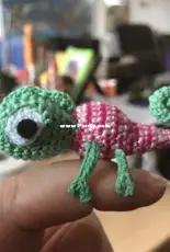 tiny chameleon