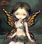 HAED HAEJBG52 Fairy with dried flowers by Jasmine Becket-Griffith