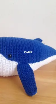 A baby whale