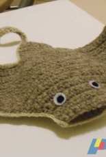 Manta ray