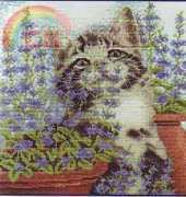 DMC BK129 - Cat Mint