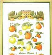 Permin of Copenhagen 70-8460 Citrus Sampler XSD
