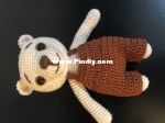 Bear Teddy
