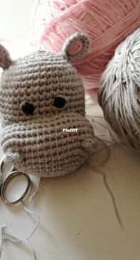 hippo in process