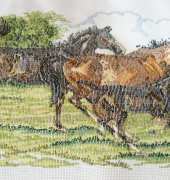 HORSES WITH FOAL