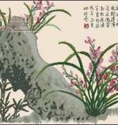 KCS 903242 Orchid