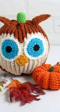 Winding Road Crochet - Lindsey Dale - Crochet Owl Pumpkin - Free