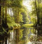 Golden Kite GK 2221 - Vandlob i Skoven