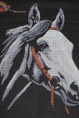 Jylisha - Paint horse head