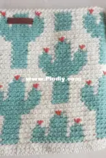 All Tapestry Crochet - Cactus Zipper Pouch - Free