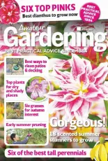 Amateur Gardening - 8 June 2019