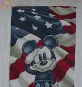 Mickey Salutes America