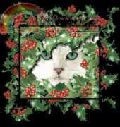 Cross My Heart CSB-262 Winter Cat XSD