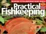 Practical Fishkeeping-Issue 04-April-2015
