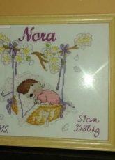 Baby birth announcement for Nora