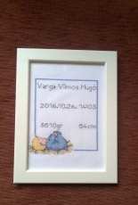 Birthsampler for boy