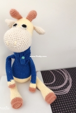 Mr giraffe