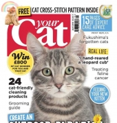 Your Cat-Issue 04-April-2015