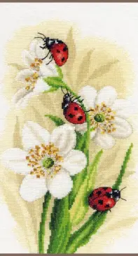 Lanarte PN-0190657 Ladybug Parade XSD