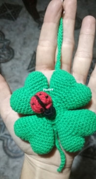 clover with ladybug