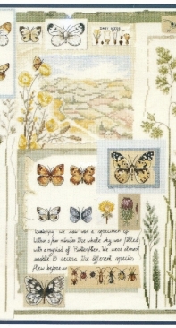 DMC BK278 - Butterfly Sampler XSD