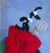 flower poinsettia