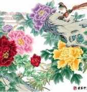 DMC Amazing Peonies