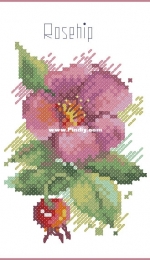 Rosehip by Anna Petunova XSD