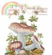 Eva Rosenstand 12-632 Russula vesca
