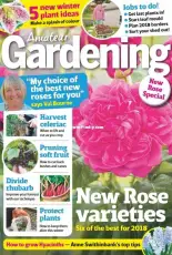 Amateur Gardening - 28 October 2017