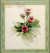 Green Apple FS602 Gloxinia