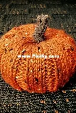 Pumpkin Spice by Denton Foreman