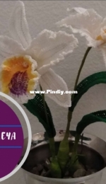 Flawless Crochet Flowers - Leticia Lebron - Cattleya Orchids