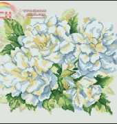 RTO M373 Garden Roses