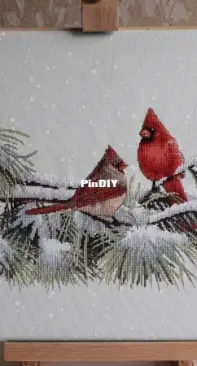 Dimensions Winter Cardinals