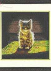 Dimensions 70-35286 - Warm and Fuzzy Kitten
