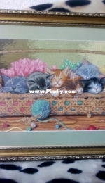 Kittens