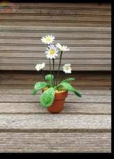Yvonne Blanker - Daisy - Dutch - free
