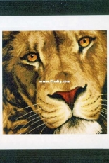 Lanarte PN-0154980 King of Animals XSD