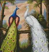The magazine "Nastunya" No. 31 Peacocks