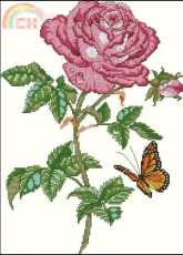 Rose Beauty from American School of Needlework ASN 3689 Beautiful Blossoms  PCS
